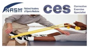 NASM-CES